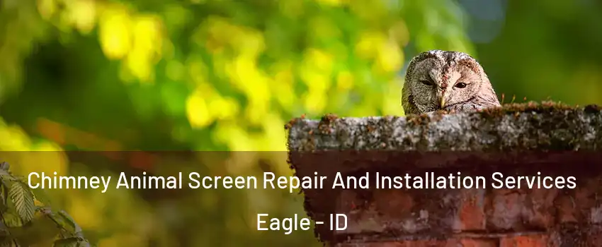  Chimney Animal Screen Repair And Installation Services Eagle - ID