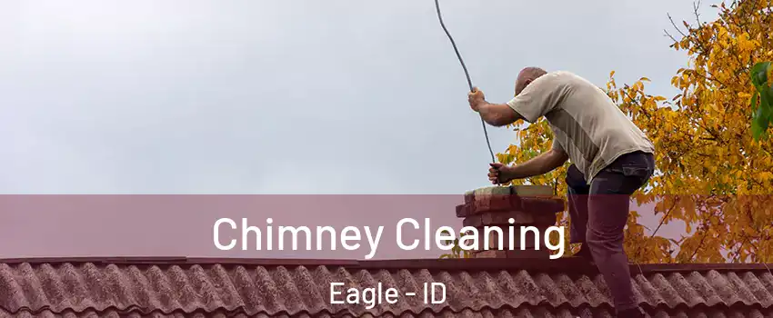  Chimney Cleaning Eagle - ID