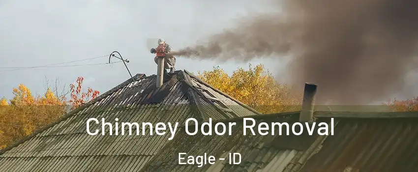 Chimney Odor Removal Eagle - ID