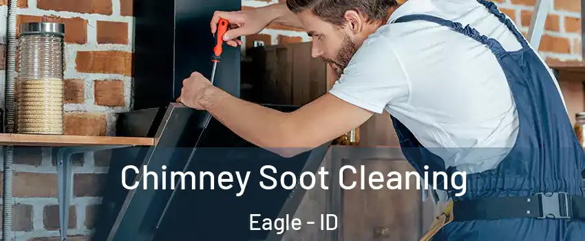  Chimney Soot Cleaning Eagle - ID