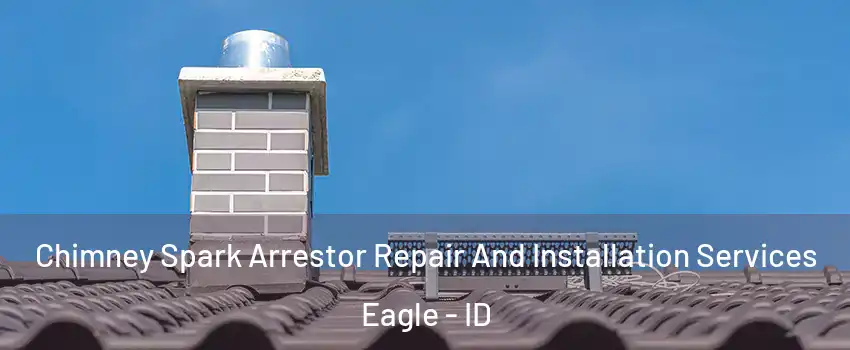  Chimney Spark Arrestor Repair And Installation Services Eagle - ID