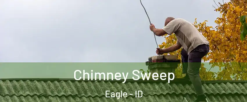  Chimney Sweep Eagle - ID
