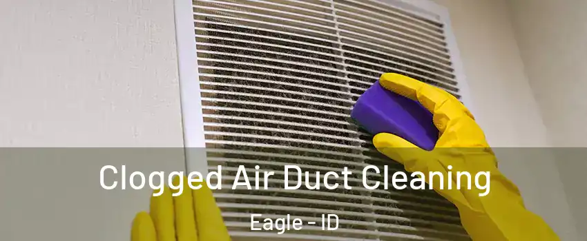  Clogged Air Duct Cleaning Eagle - ID