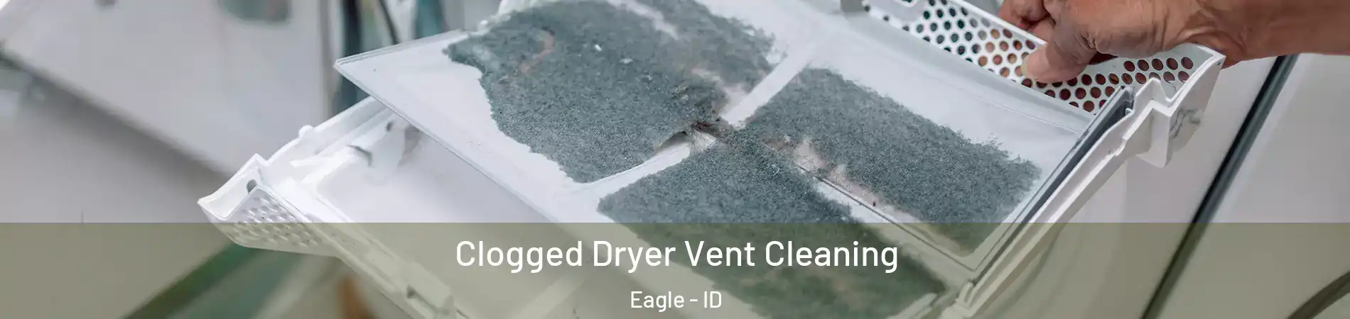  Clogged Dryer Vent Cleaning Eagle - ID