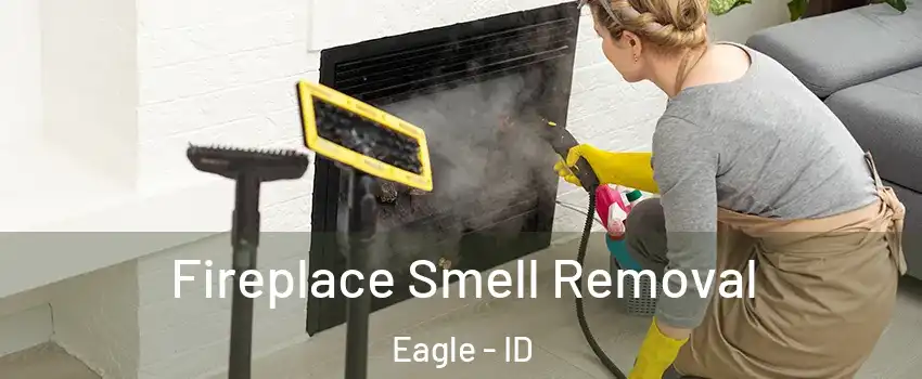  Fireplace Smell Removal Eagle - ID