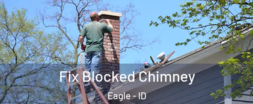  Fix Blocked Chimney Eagle - ID