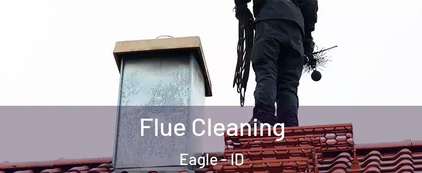  Flue Cleaning Eagle - ID