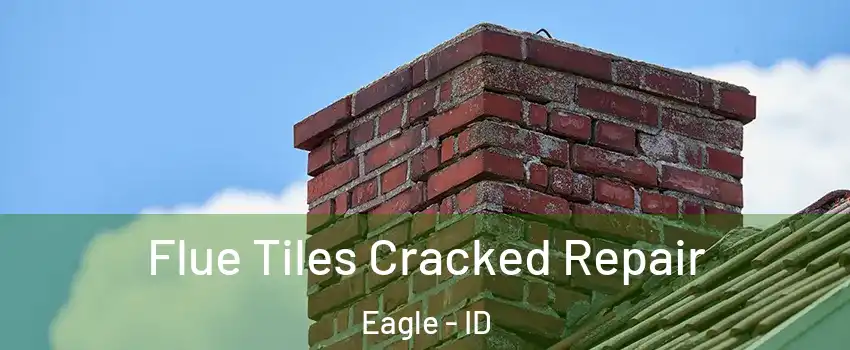  Flue Tiles Cracked Repair Eagle - ID