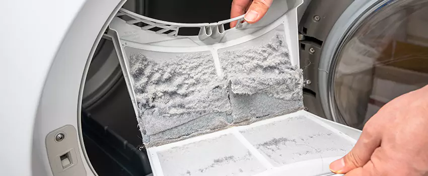 Best Dryer Lint Removal Company in Eagle, Idaho