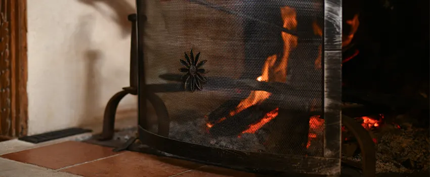 Electric Metal Fireplace installation Services in Eagle, ID