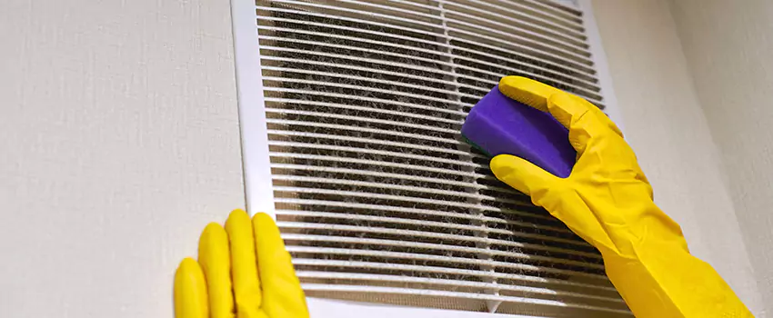 Vent Cleaning Company in Eagle, ID