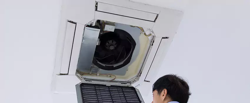 Benefits of Professional Air Duct Cleaning in Eagle, Idaho