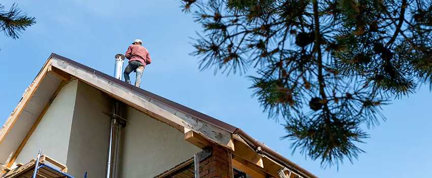 Birds Removal Contractors from Chimney in Eagle, ID