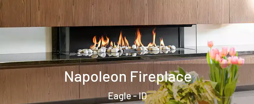  Napoleon Fireplace Eagle - ID