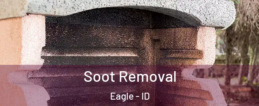  Soot Removal Eagle - ID