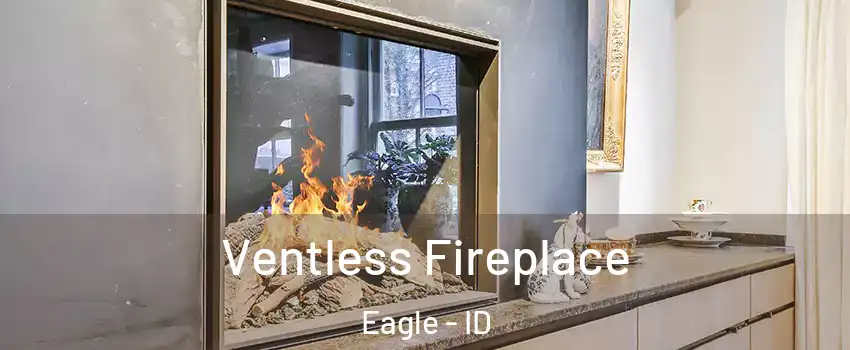  Ventless Fireplace Eagle - ID